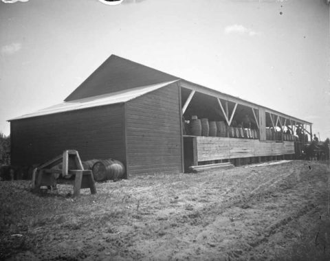 a black and white picture of an open-sided barn with pickle barrels stacked inside