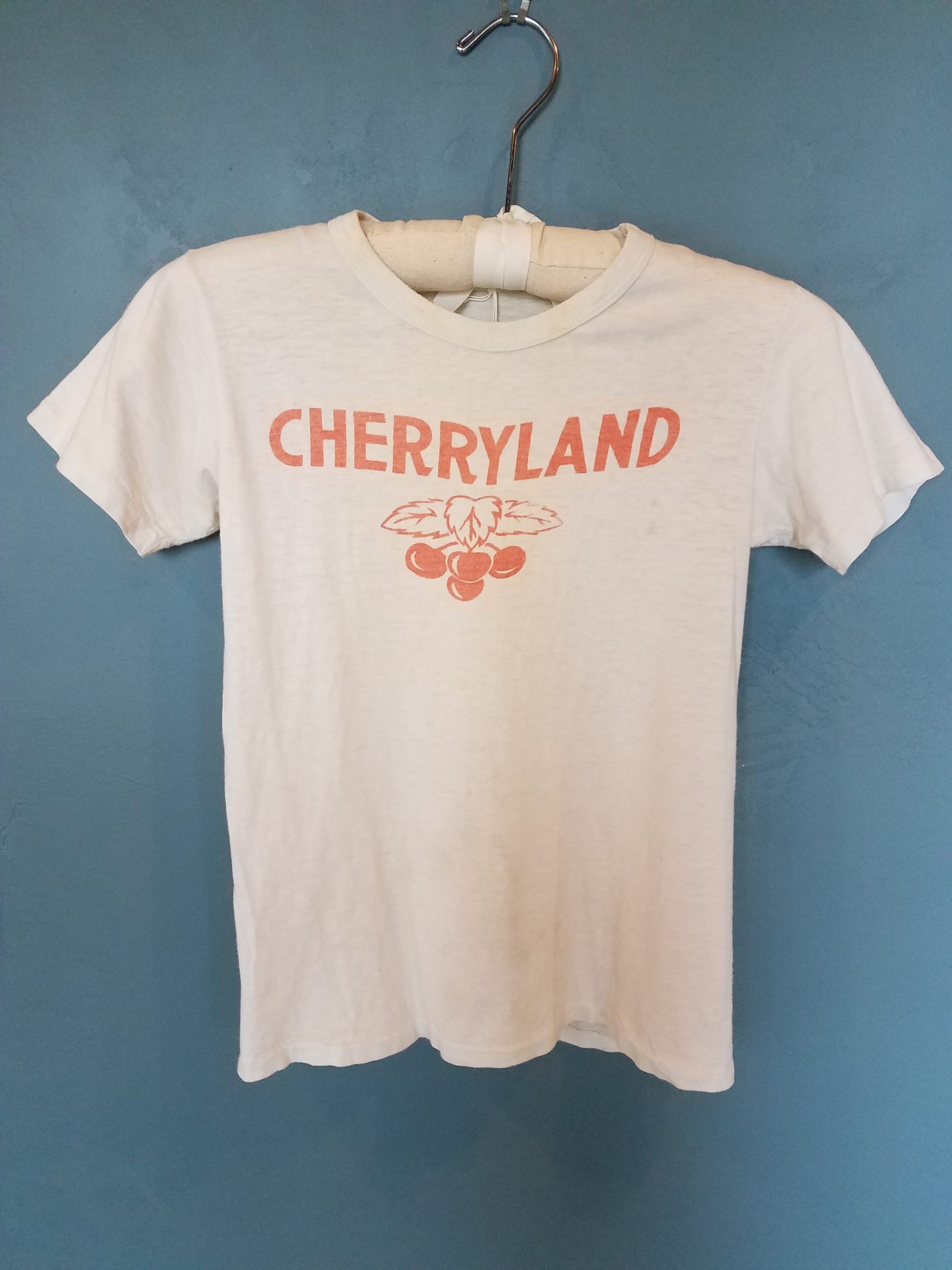 Read more about the article OBJECT HISTORY: Cherryland T-Shirt