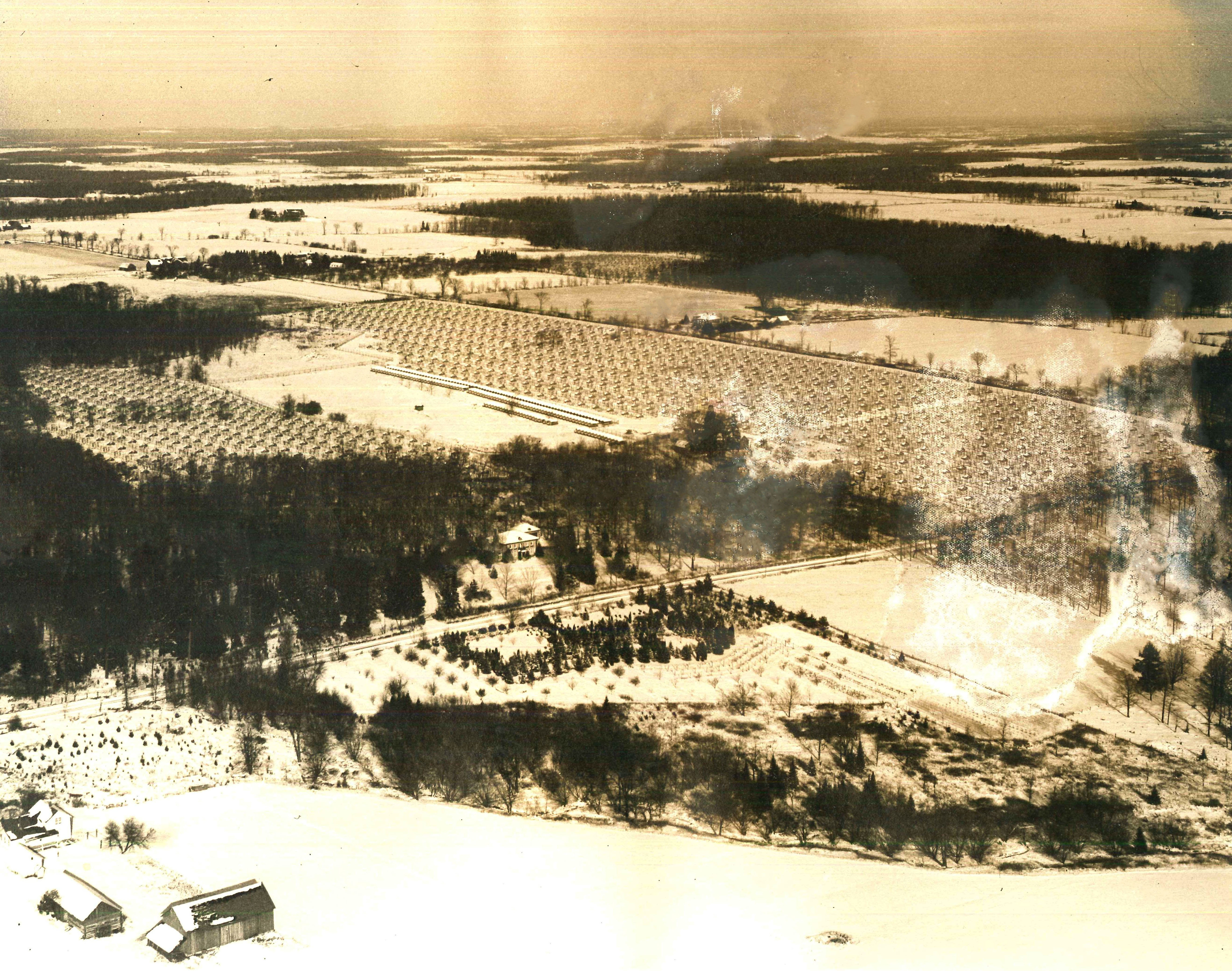 An aerial view of the Fromm fur and ginseng farm in Hamburg, Wisconsin. Date unknown. Photograph courtesy of the Marathon County Historical Society.