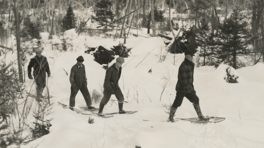 Four men snow shoe through the woods in northern wisconsin