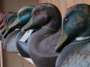 A shelf lined with carved duck decoys of different colors and sizes.