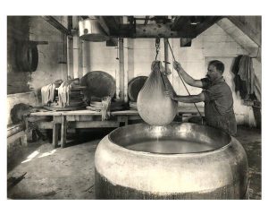 The interior of a cheese factory from 1914 showing a man lifting a sack of curds out of a vat