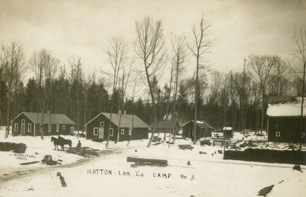 a black and white photo of a lumber camp showing several buildings in the snow