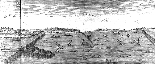 a hand drawing of a Native American fishing weir showing a heart-shaped weir and men spear fishing 