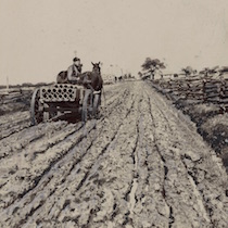 a cropped image of a man hauling pipes over a deeply rutted country road