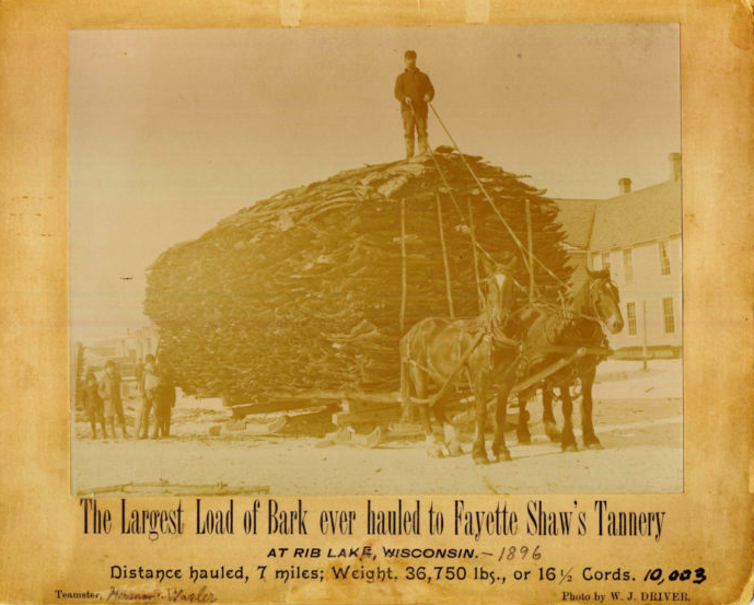 a faded photo of a sled piled nearly twenty feet high with hemlock bark