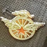 A brass and enamel pin featuring a winged star imposed over a spoked bicycle wheel, atop of which stands the figure of a badger.