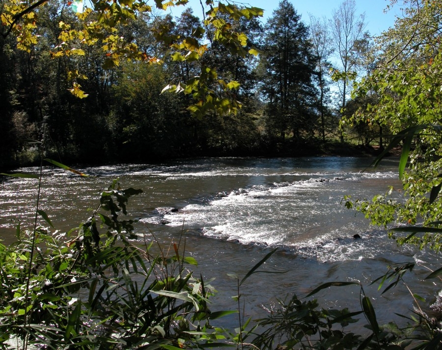 Image of a stone fishing weir in a river, visible as stones breaking the water’s surface.