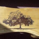 A photograph of a laser engraving of the image of the Council Oak Tree.