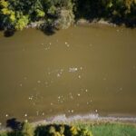 Aerial view of the Crawford River with stone remnants of a fishing weir.