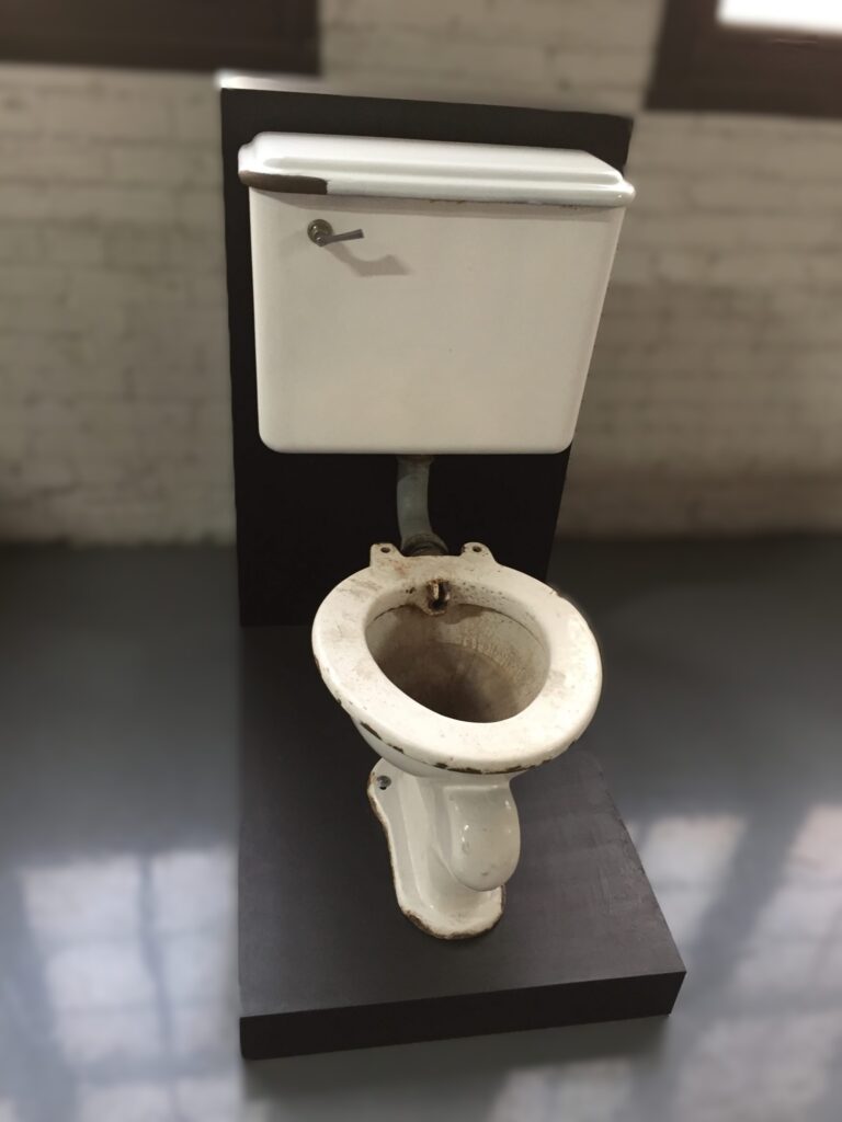 A Kohler Armeda toilet.