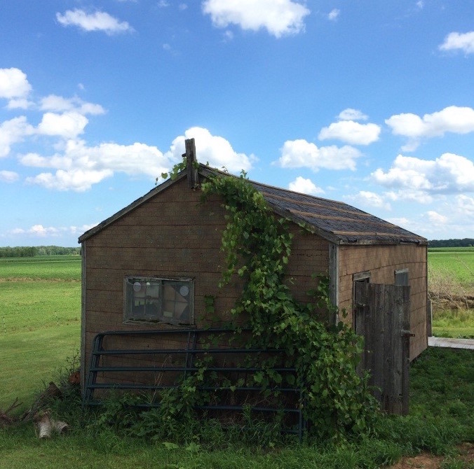 A small wood frame building with small windows and asphalt siding.