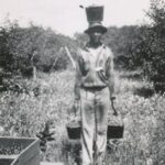 A migrant worker carries three filled pails of cherries, one in each hand and another balanced atop his head.