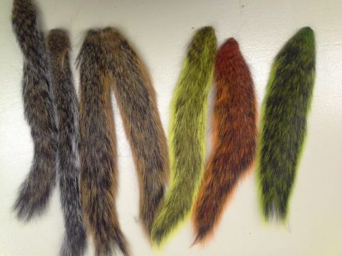 A photograph of seven squirrel tails, ranging in color from natural to dyed, orange, yellow, and green.
