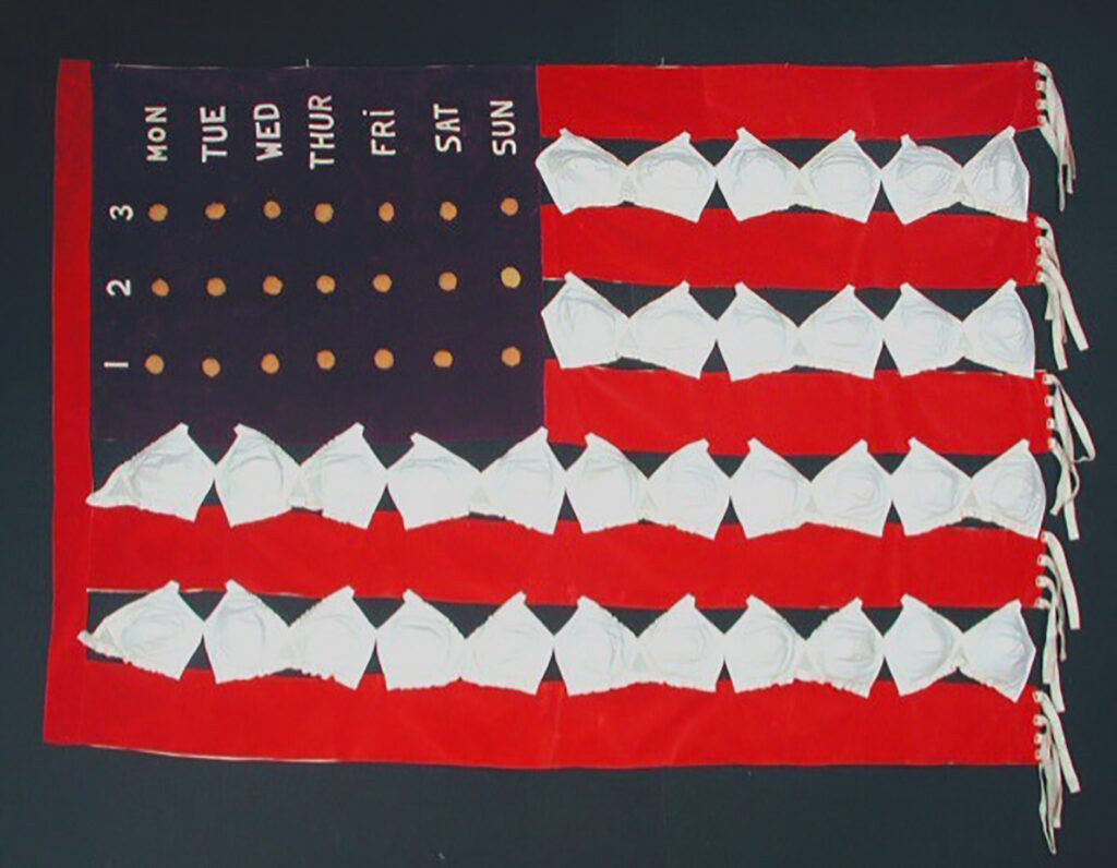 A multi-medium artwork resembling the American flag. The white stripes are made of padded bras. In the field of blue, instead of stars, there are round foam "pills" arranged to resemble a package of contraceptive pills.