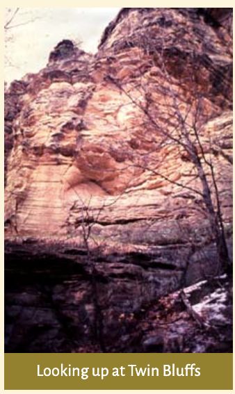 A sandstone bluff looms over leafless trees.