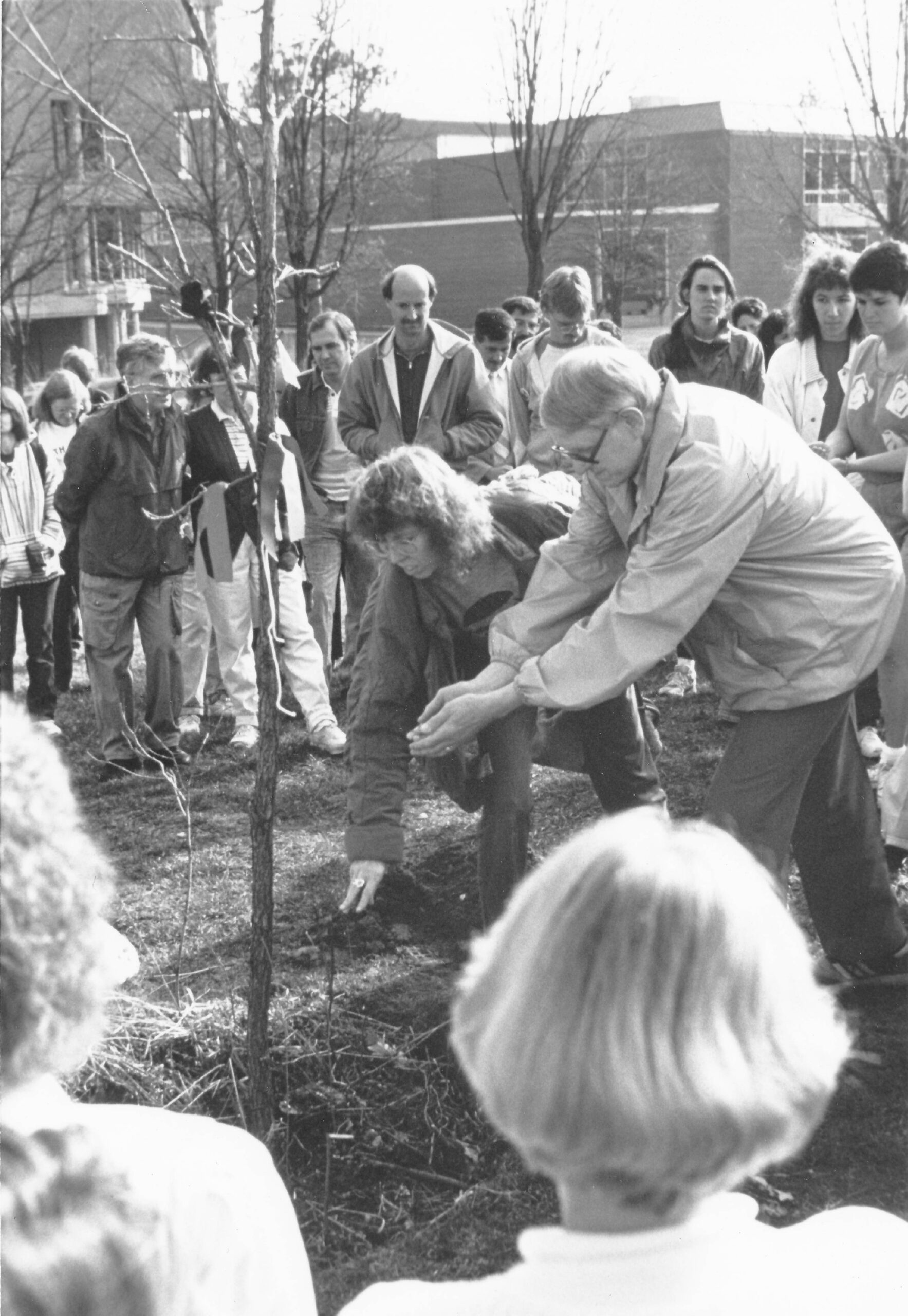 Two figures ceremonially lay dirt on a planted sapling as a crowd gathers around to witness.