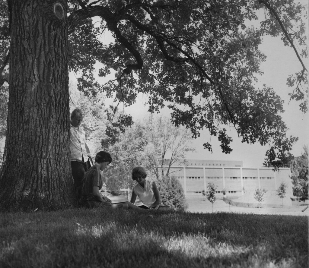 Three people sit under the shade of the Council Oak studying. A campus building is visible in the background.