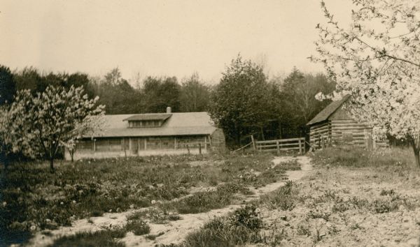 Cherry trees in full bloom frame the entrance to the cherry camp buildings, which include a wood frame camp house with shuttered porch and windows on the left, and a log cabin on the right.