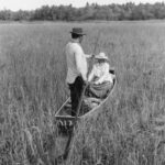 A man and a woman ricing duo. The man stands in the back of a boat with a long pole pushing the vessel. The seated woman harvests rice.