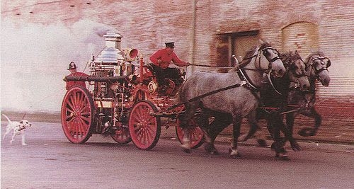 Photograph of a firefighter on a horse-drawn steam engine. A dalmatian runs alongside.