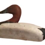 A wooden duck decoy with white body, brown head, and black breast and tail.