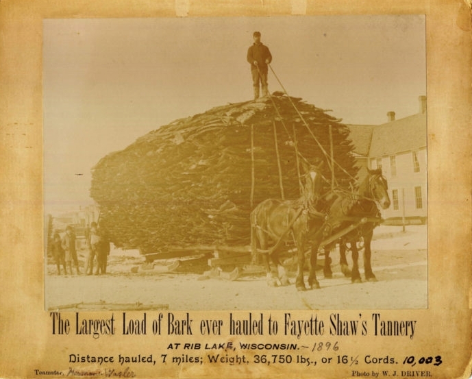A mounted photograph of men posed atop and next to a horse-drawn sleigh loaded with an approximately fifteen-foot-high pile of hemlock bark. Caption reads, "The largest load of bark ever hauled to Fayette Shaw's Tannery at Rib Lake Wisconsin. Distance hauled, 7 miles; weight, 36,750 lbs., or 16.5 cords.