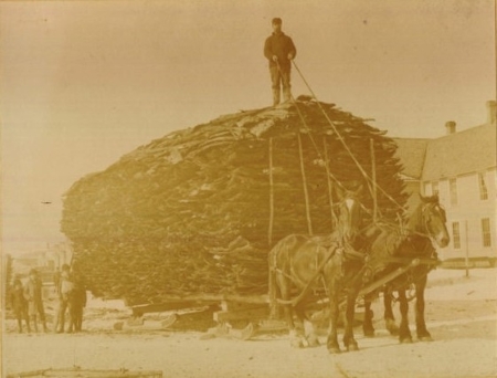 Read more about the article Tanning in Taylor County