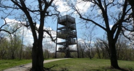 A wooden observation tower standing in a clearing.