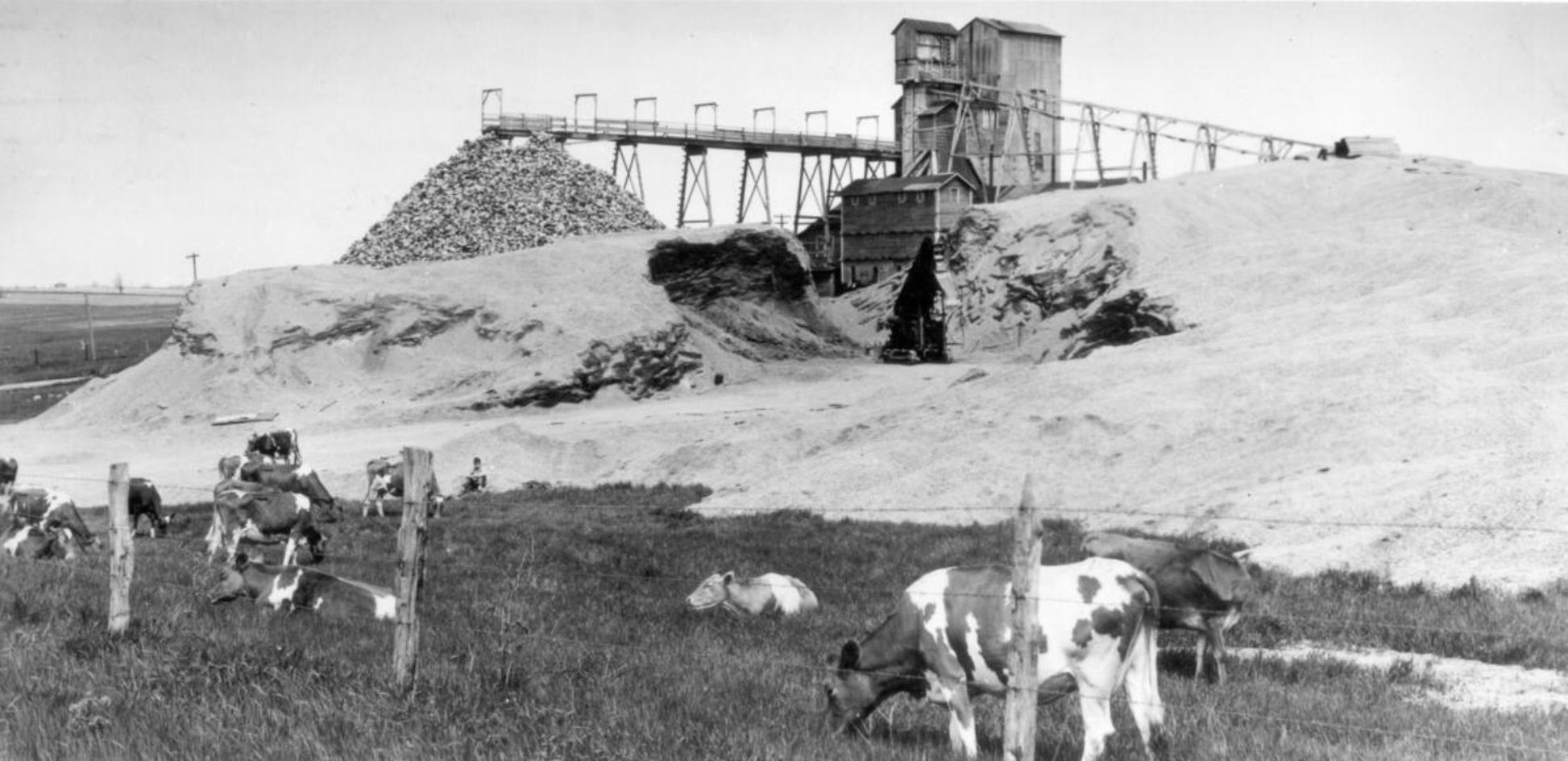 Photograph of the Platteville area countryside. In the foreground is a field enclosed with barbed-wire fence and grazing cattle. In the background is a mining complex, with large dunes of sand and crushed rock. Mill buildings stand in the background.