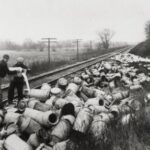 A group of four men standing on a railroad tracks, dump milk onto the ground from a milk can. Around them are hundreds of empty milk cans strewn about the ground.