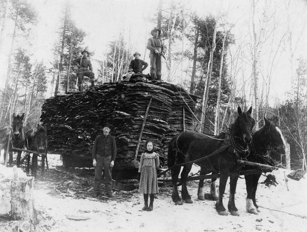 Men with horse-drawn load of lumber with a little girl standing in front.