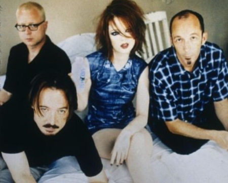 Read more about the article Garbage’s Origins in Madison