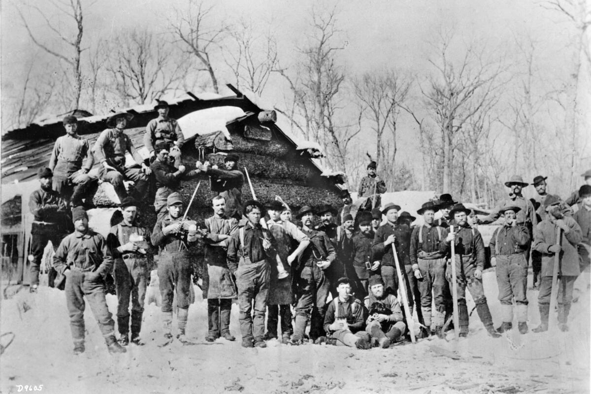 Group portrait of a large logging crew posing outdoors in the snow at their camp in front of a log building. Many hold tools of the trade, and others hold objects that represent camp life. One of the men is playing a fiddle or a violin, and two men are posing with their fists up as if ready to fight. One of the men sitting on the ground in front of the group appears to be holding a dog.