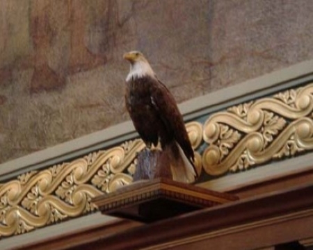 Read more about the article OBJECT HISTORY: Old Abe, the Live War Eagle