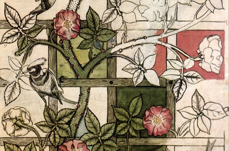 Hand-drawn design of a sinuous thorny vine with pink flowers creeping along a wooden trellis.
