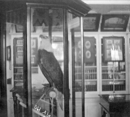 black and white photograph of a bald eagle mount in a glass display case, in the background the walls hold military portraits.