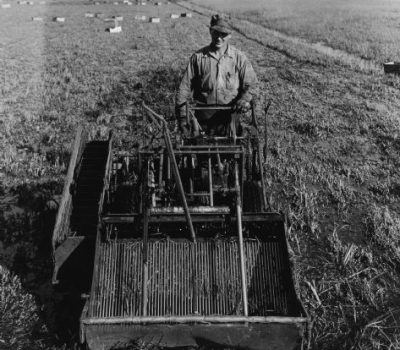 Cranberry Harvesting Machine