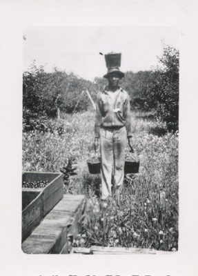 A migrant worker carries three filled pails of cherries, one in each hand and another balanced atop his head.