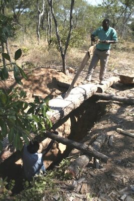 A photograph of two men operating a pit saw. The two man operate a handsaw in tandem, one stands below the log in a pit and the other stands atop the log.