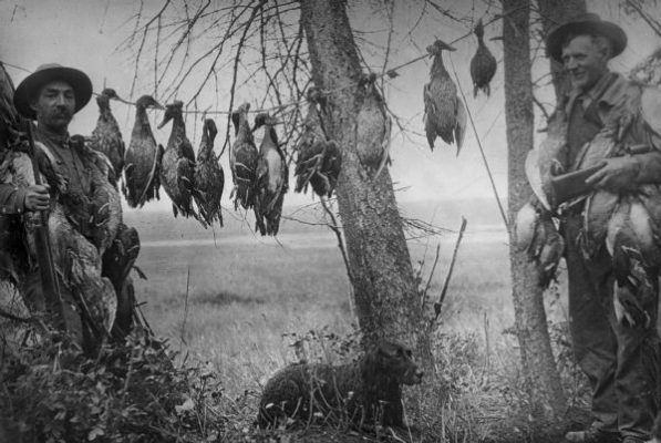Black and white photograph of two men standing holding guns, with birds draped around their necks from hunt. Line strung between trees shows additional kill from duck hunt. A dog is sitting in the grass between the men.