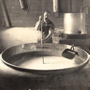 A worker cuts curd to make Swiss cheese at a giant cheese vat in the Jorden Cheese factory.